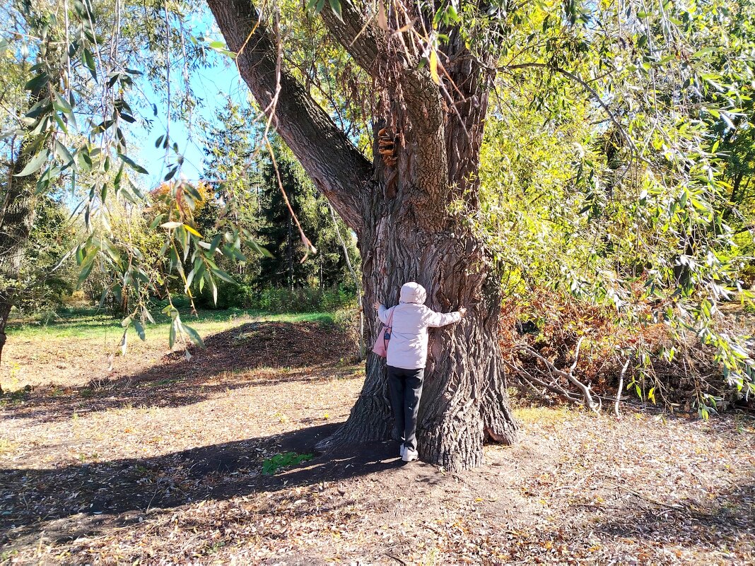 Вот такая ивушка! - Надежда 