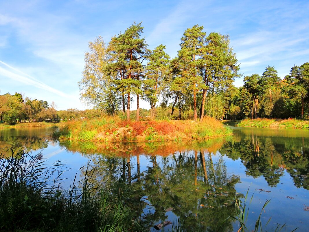 Остров среди пруда - Андрей Снегерёв Остров среди пруда - Андрей Снегерёв