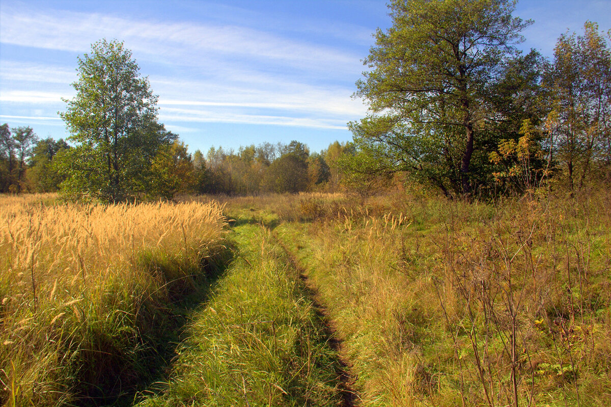 Первый день октября - Вячеслав Минаев Первый день октября - Вячеслав Минаев