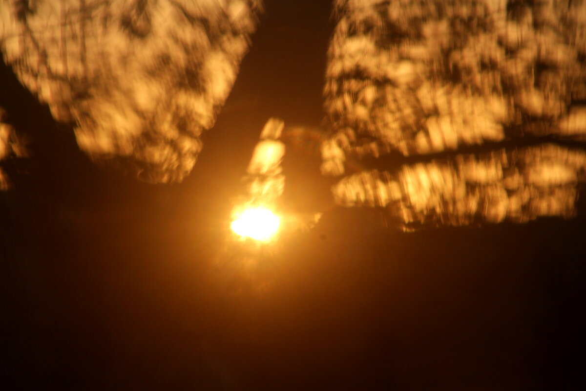 Солнечные соты - олег свирский Солнечные соты - олег свирский