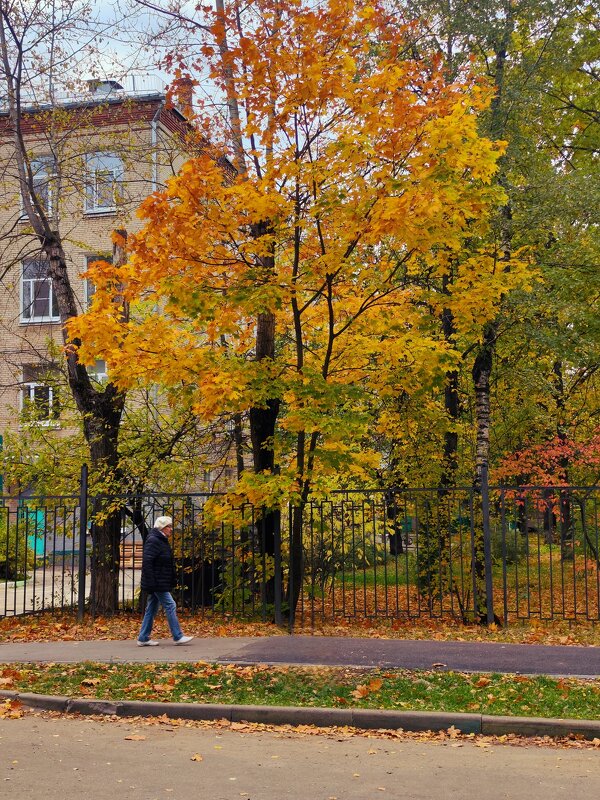 **** - Алексей Архипов