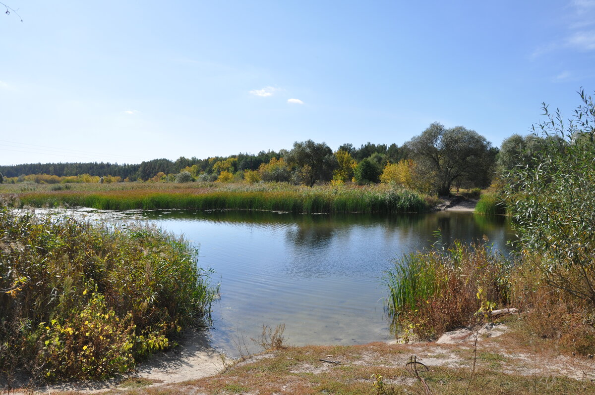 Жаркий сентябрь (+28) - Татьяна Машошина Жаркий сентябрь (+28) - Татьяна Машошина