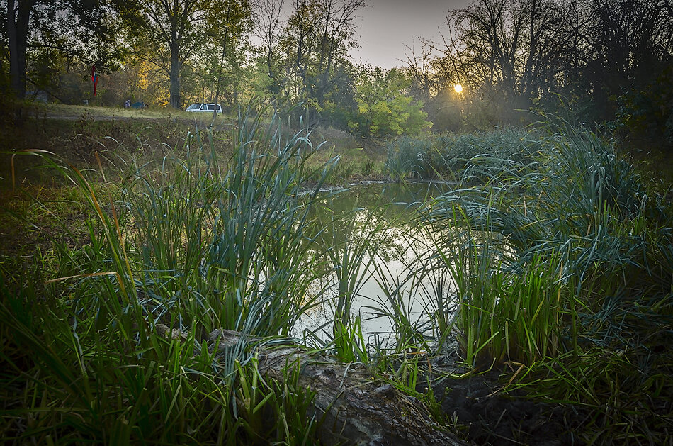 На рассвете - Петр Фролов