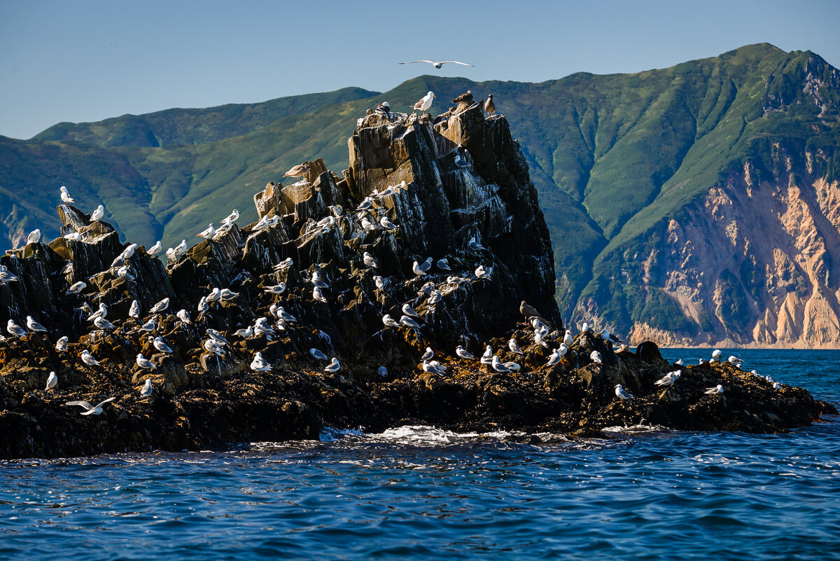 ... - Жора Житников