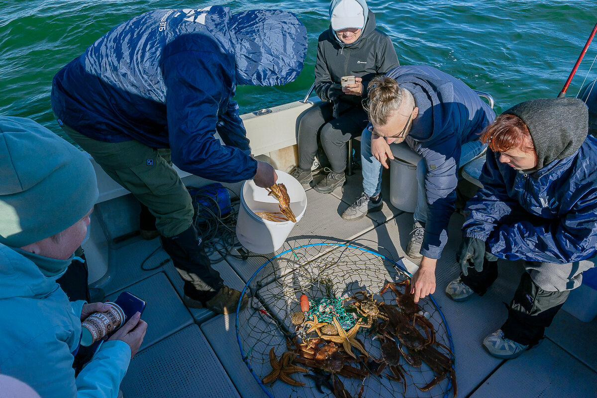 ... - Жора Житников