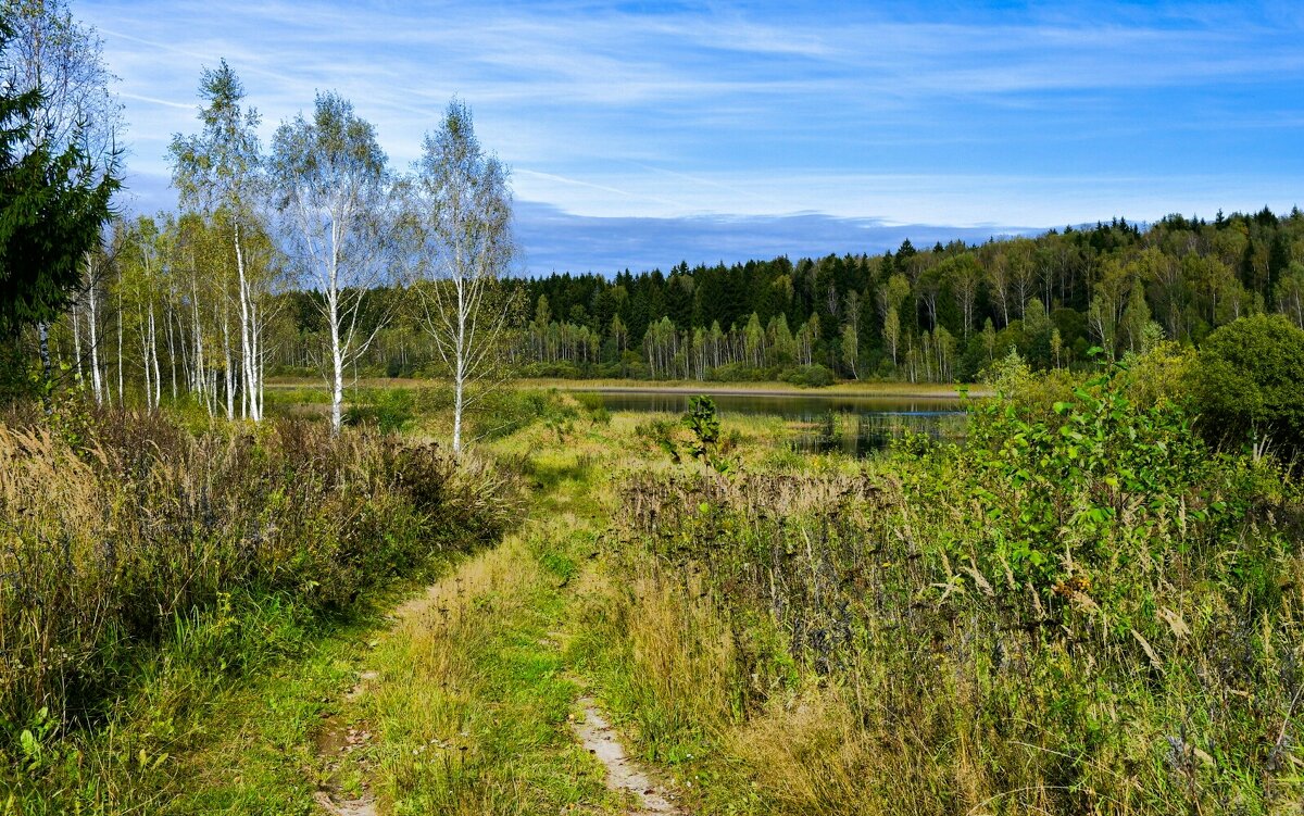 Природа в первый день октября. - Милешкин Владимир Алексеевич 