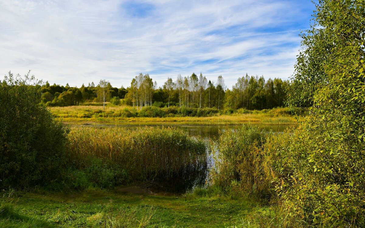 Клёвое место на озере (репортаж из поездок по области). - Милешкин Владимир Алексеевич 