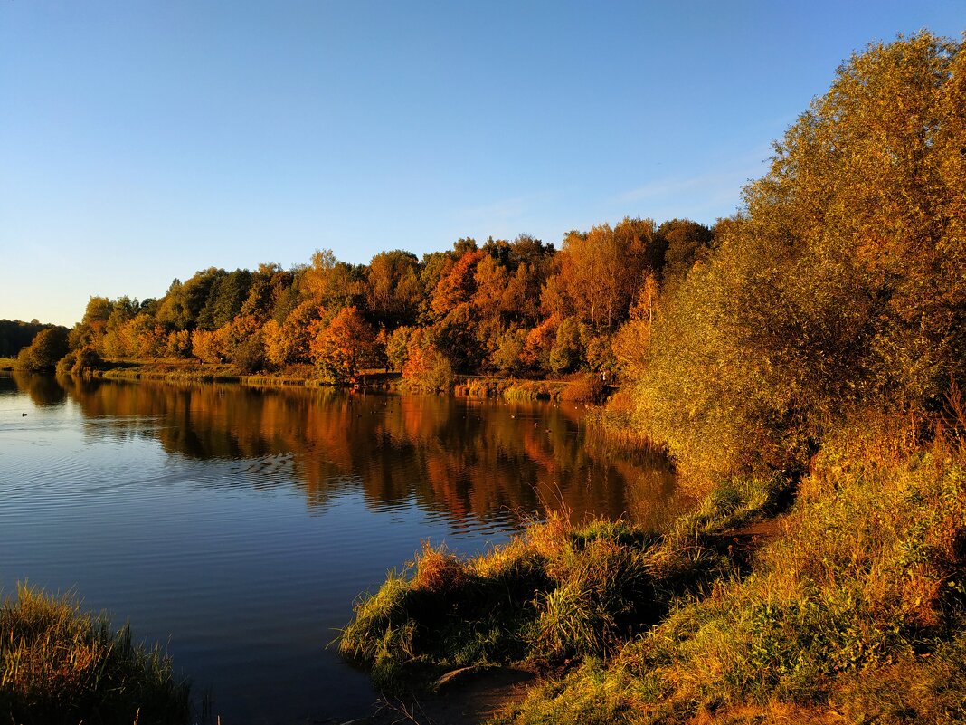 Проводы сентября - Андрей Лукьянов