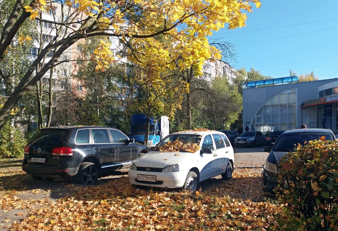 Осень листьями метет - Galina Solovova