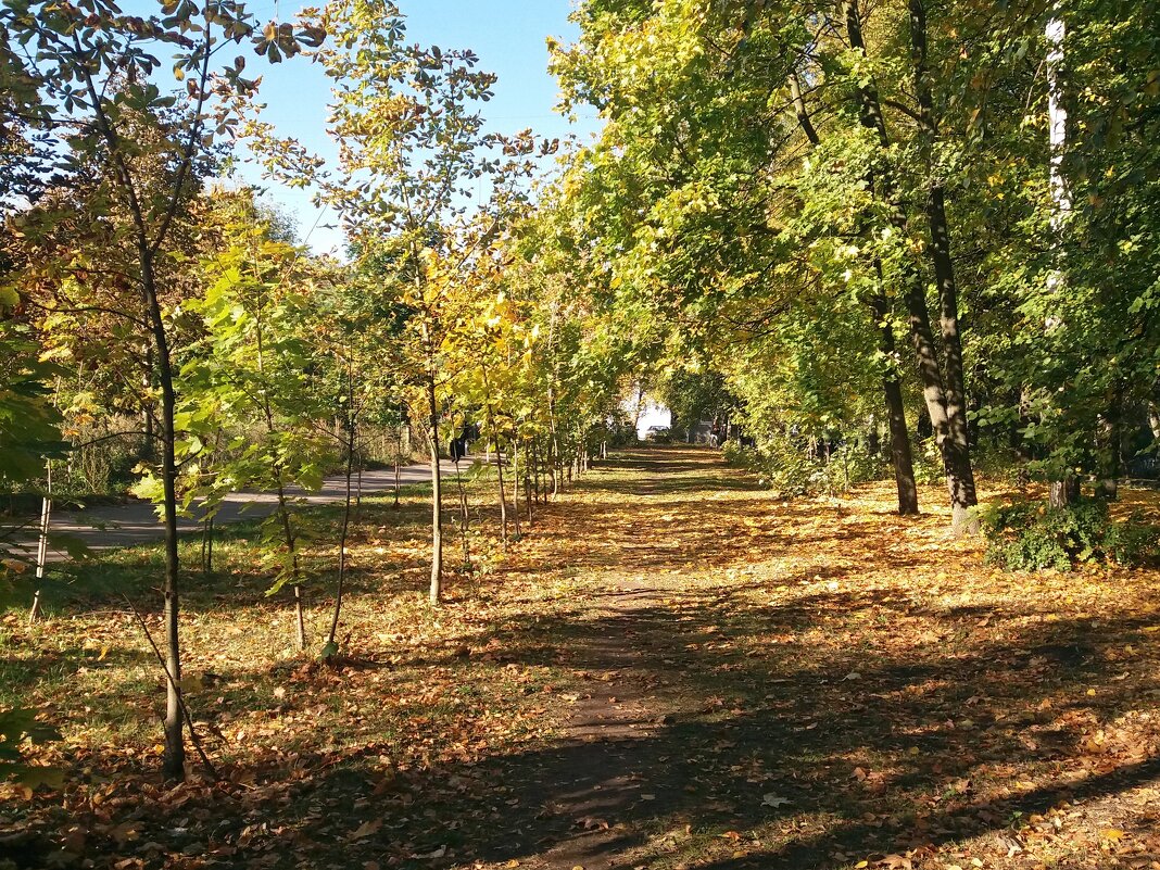 Осень - Galina Solovova