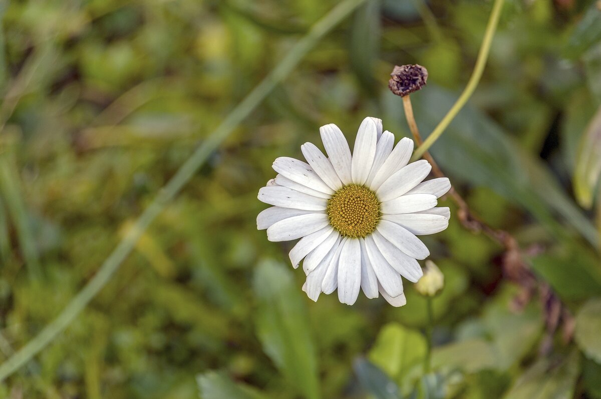 Осенняя - Валерий Иванович