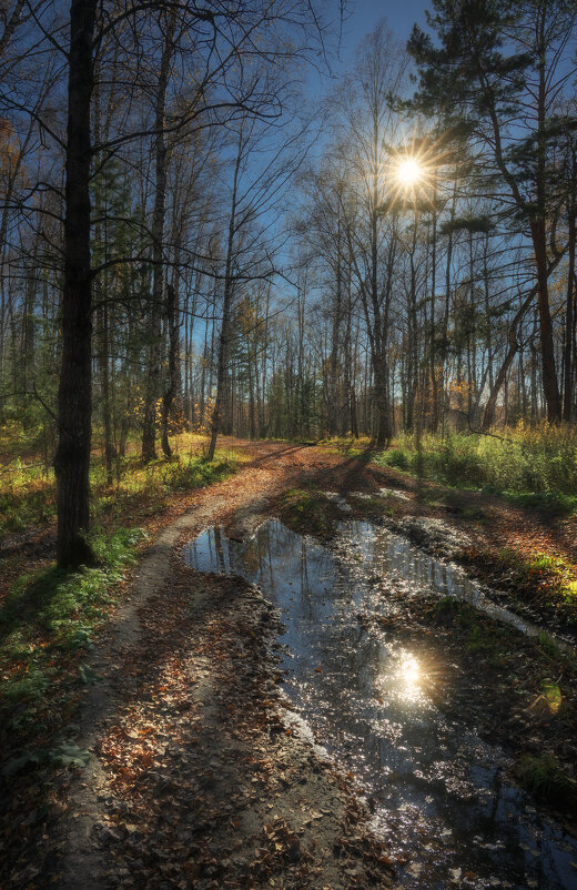 * - Александр Иванов