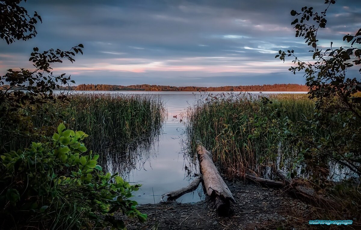 ...На берегу под утро.! - Павел Курков