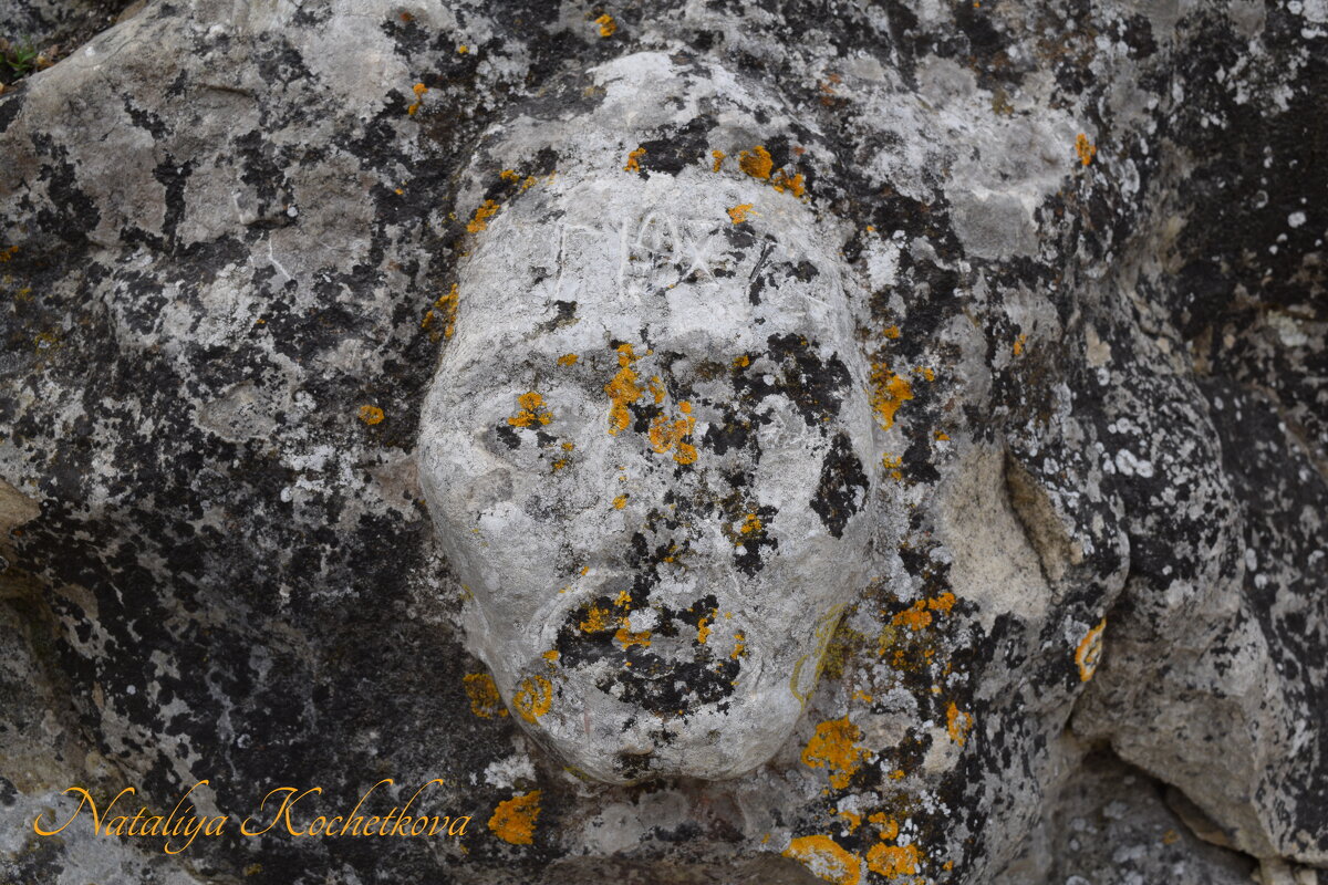 Природа Крыма - Amazing Cosmea