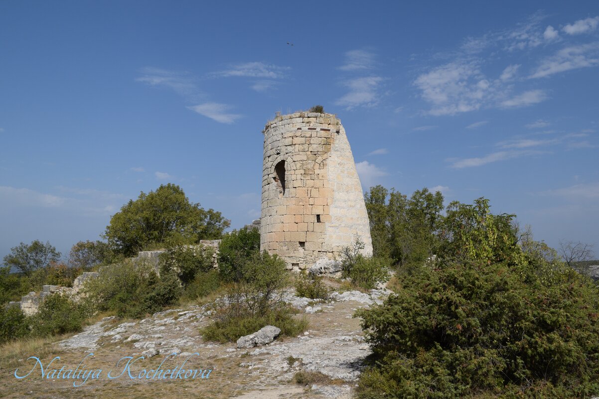 Природа Крыма - Amazing Cosmea