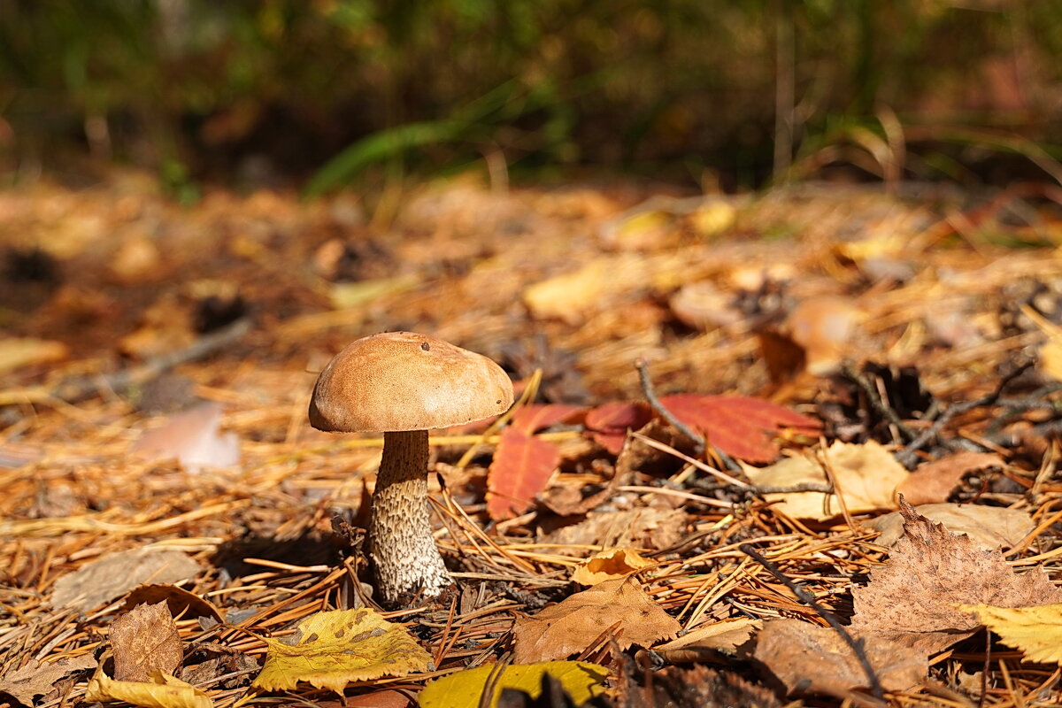 Последний герой - Галина Кан Последний герой - Галина Кан