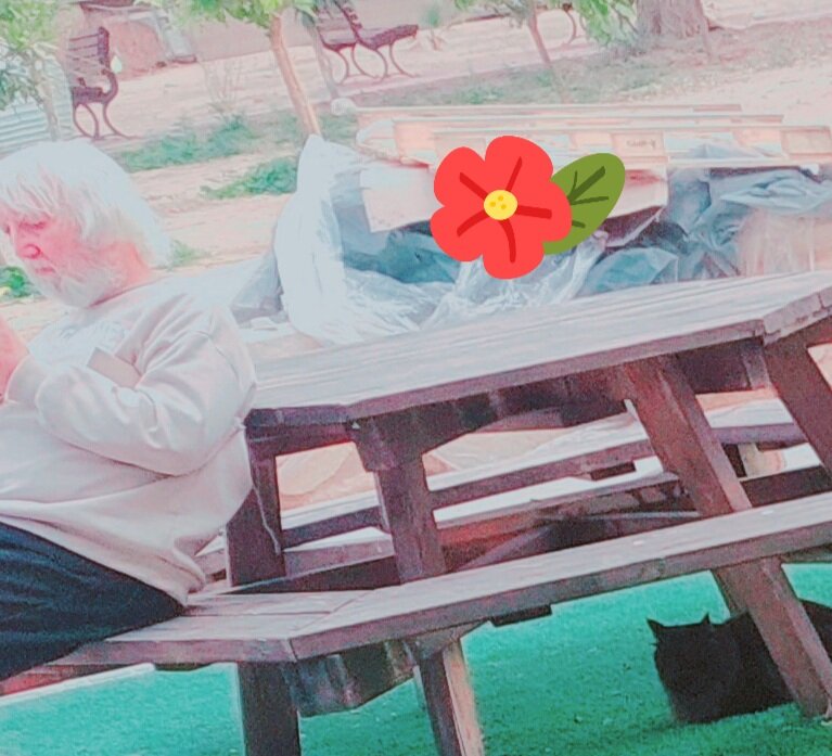 13  ОПЕН (448) - OPEN WAYS ALL