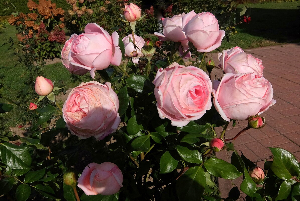 Какое роскошество! - Люба Какое роскошество! - Люба