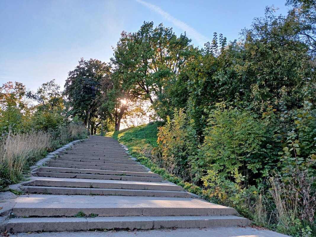 Подъём в Летний сад. - Лия ☼