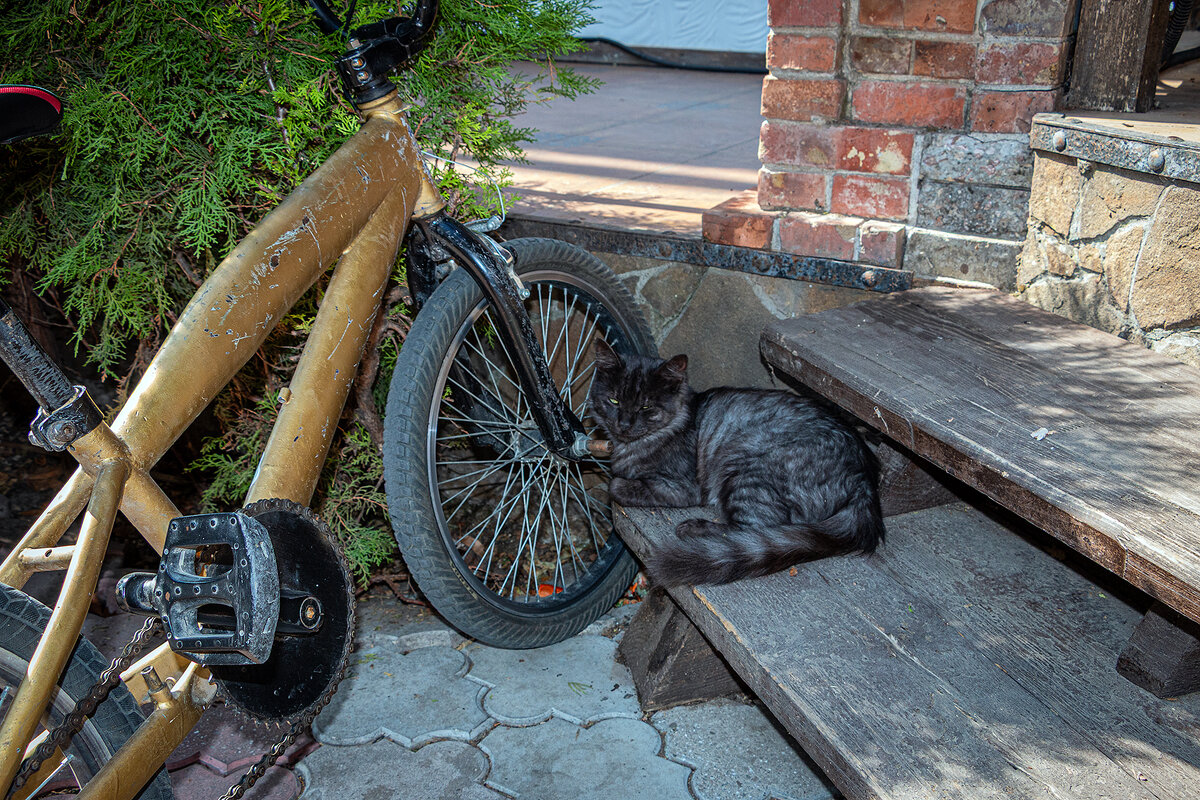 На крылечке твоем - Юрий Яловенко