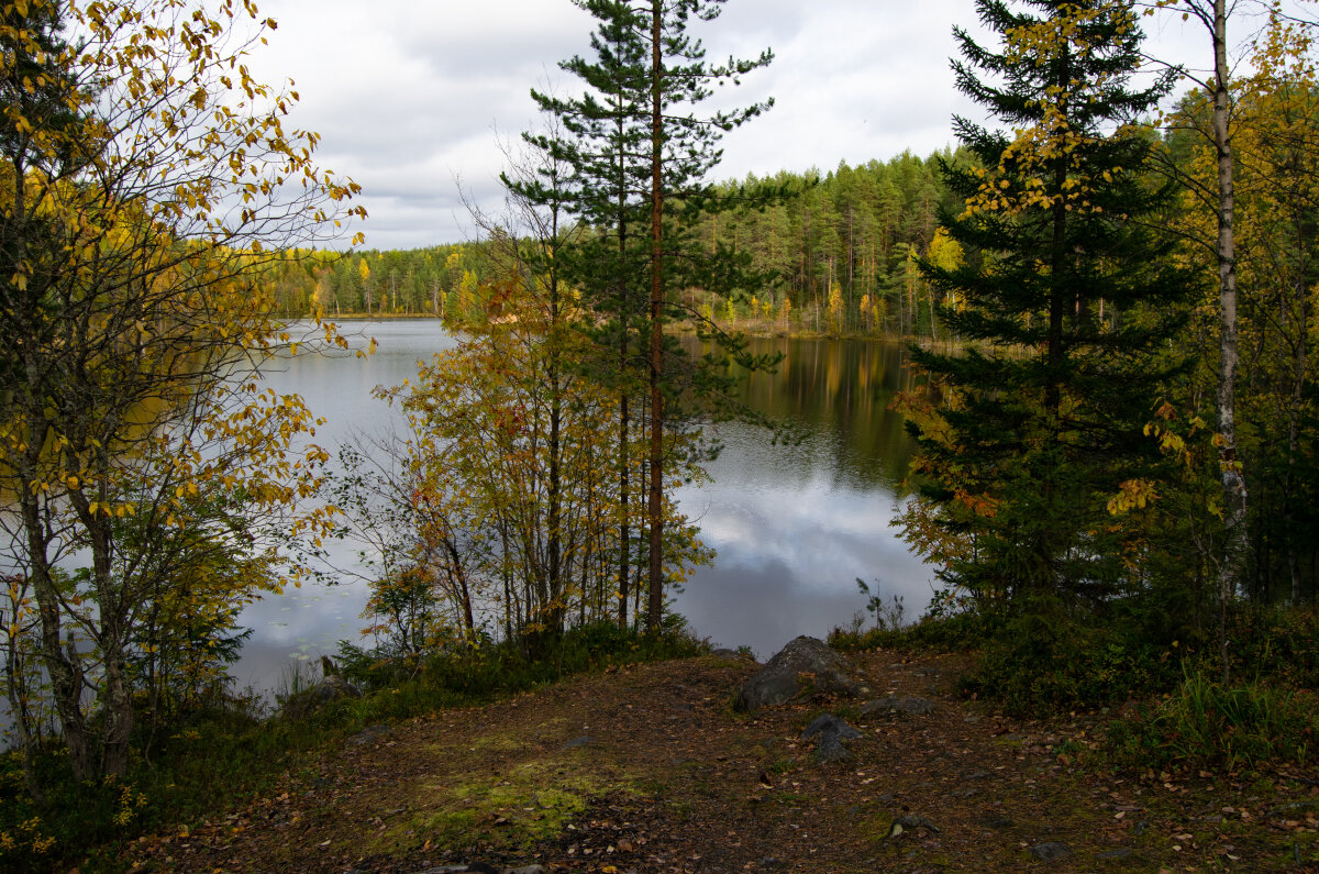 Озеро Островистое - Марина Никулина