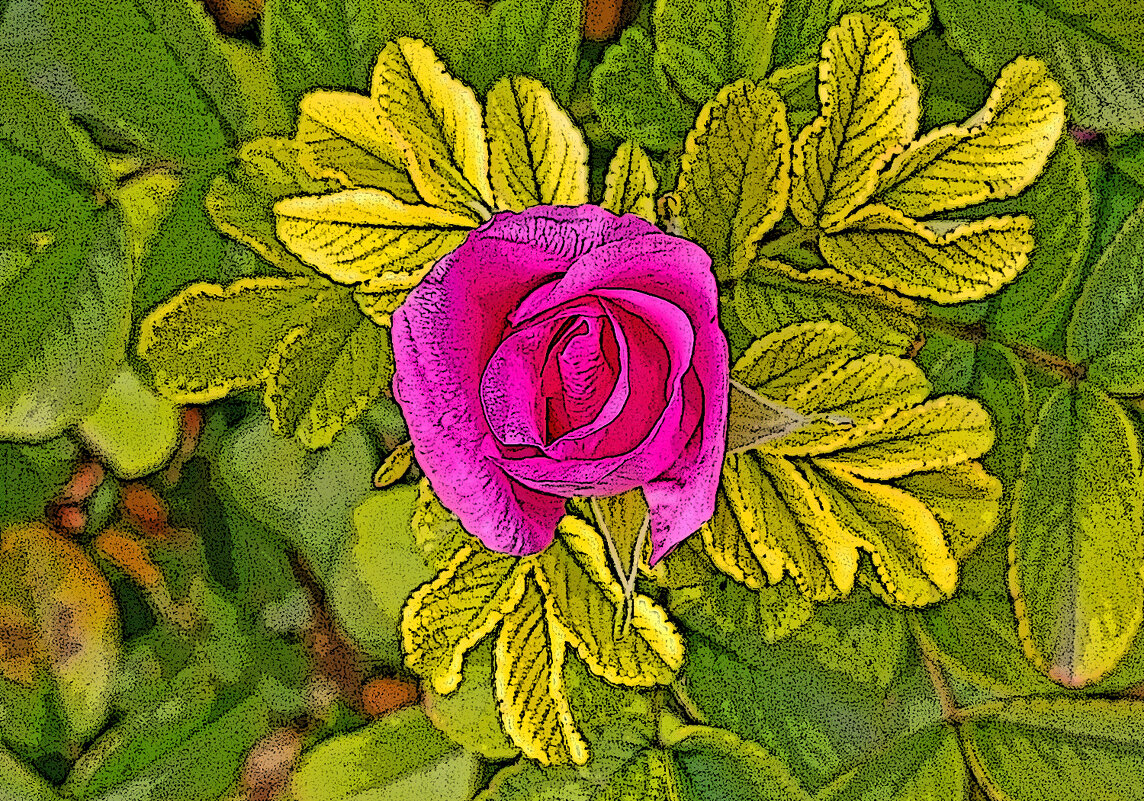 И в октябре цветёт шиповник! - Валентина Нефёдова И в октябре цветёт шиповник! - Валентина Нефёдова