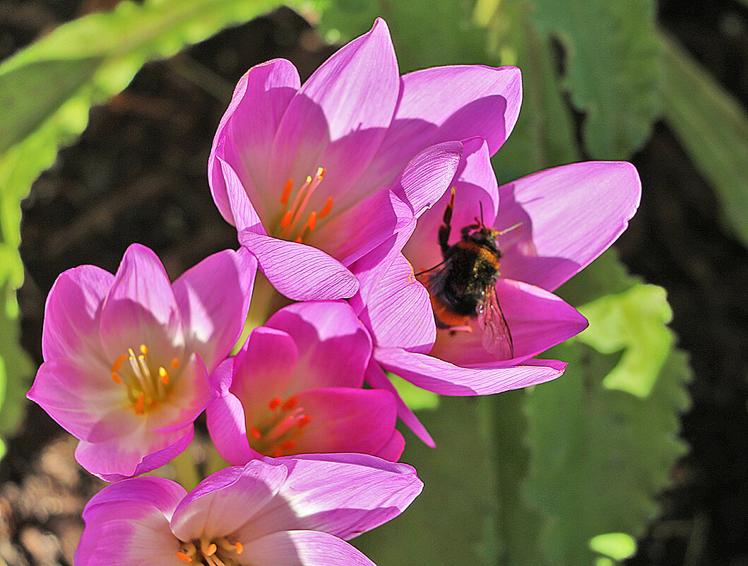 Хорошо устроился! - Светлана Хорошо устроился! - Светлана