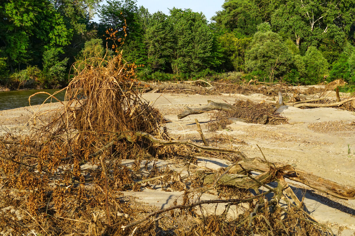 Река Кубань и деревья - Игорь Сикорский