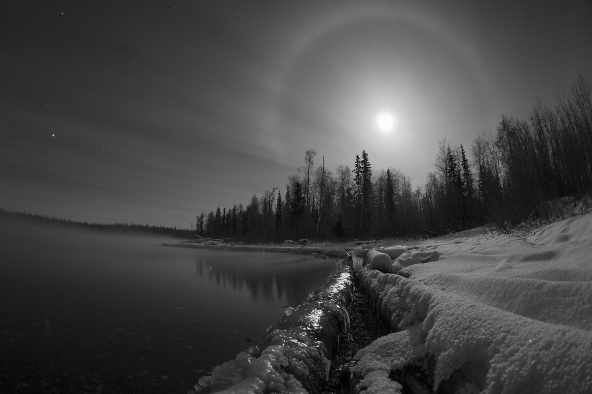 Встреча - Евгений Виличинский