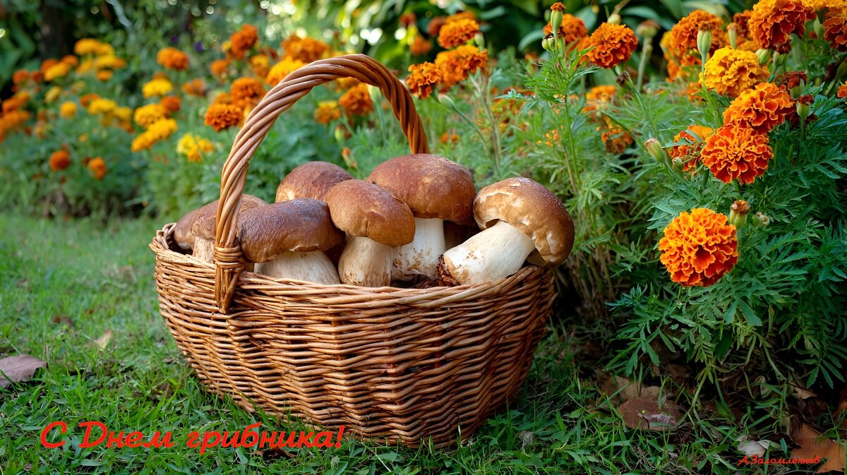 Со Всемирным днём грибника! :-) - Андрей Заломленков