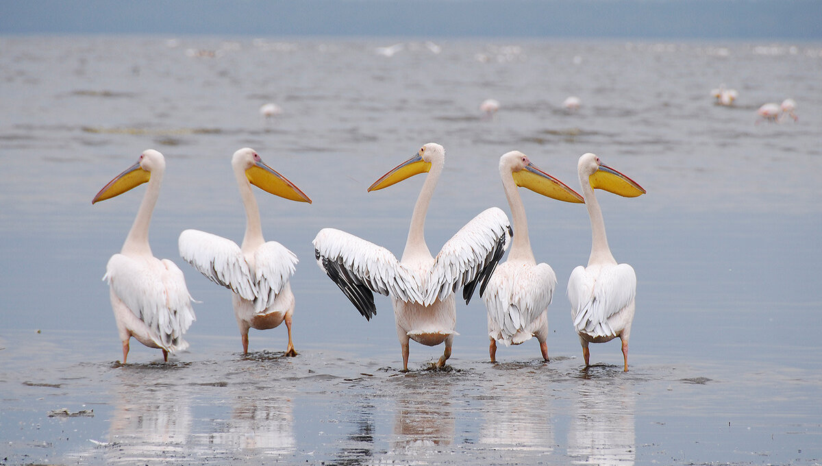 По сторонам... - Ирина С