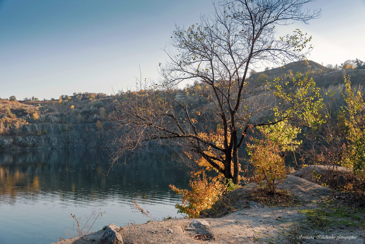 Осень - Светлана Ищенко