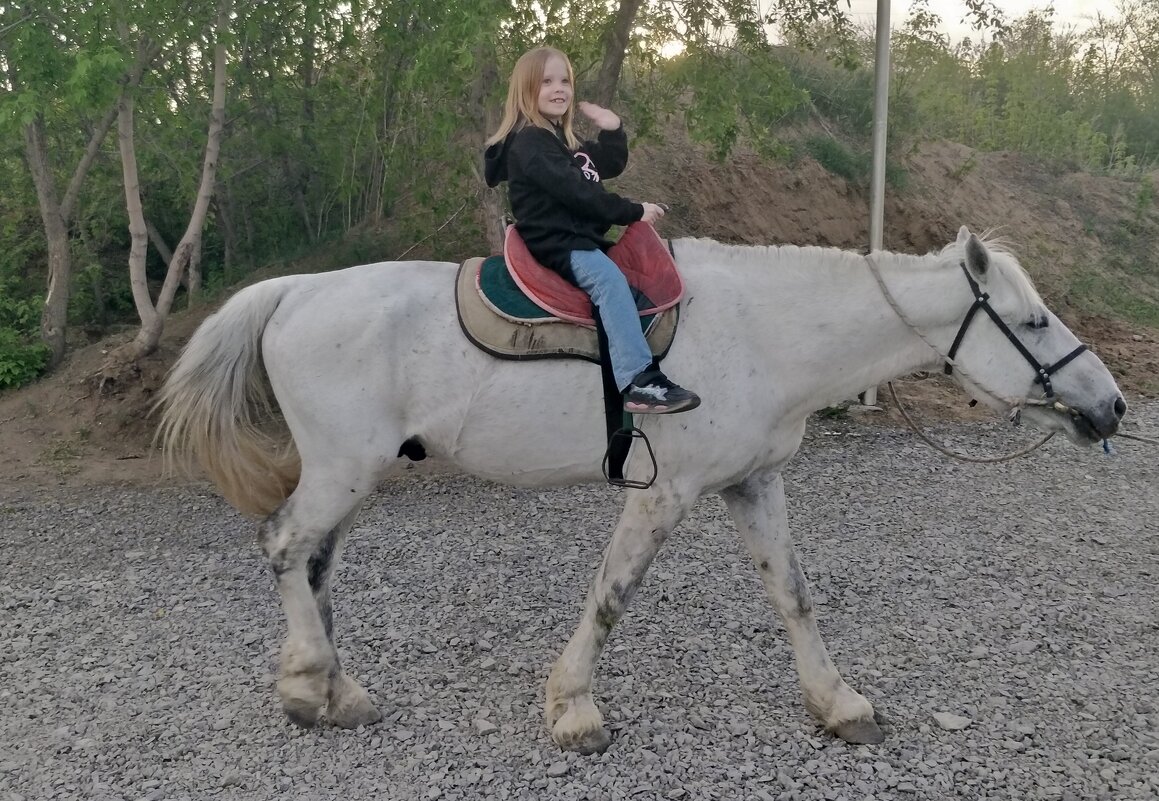 На коне... - Андрей Хлопонин