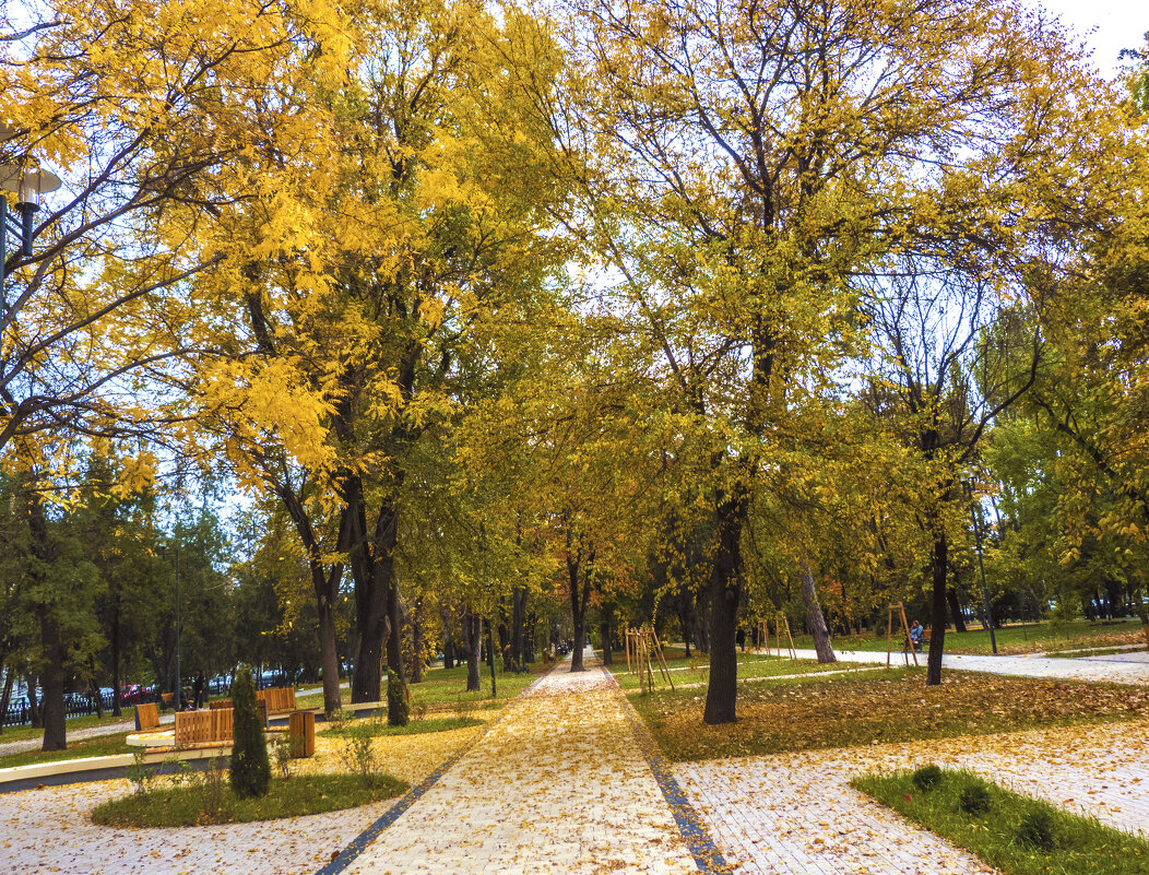Осень на бульваре Ленина - Валентин Семчишин Осень на бульваре Ленина - Валентин Семчишин