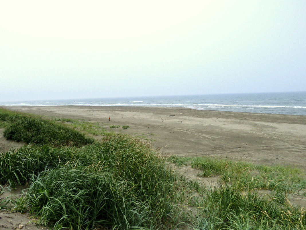 Дикий берег Татарского пролива - ИРЭН@ . Дикий берег Татарского пролива - ИРЭН@ .