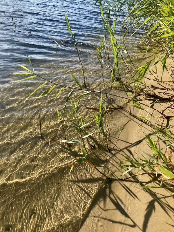 Речная зыбь - Любовь 