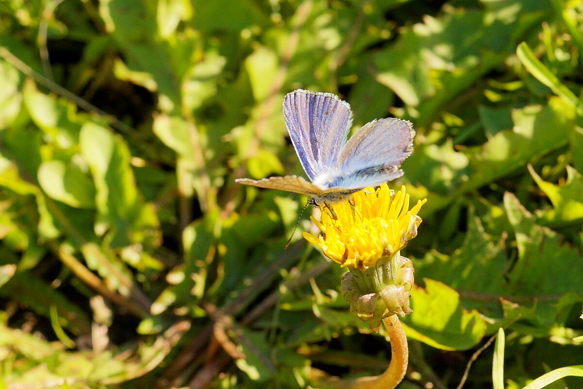 .. - Андрей Катков