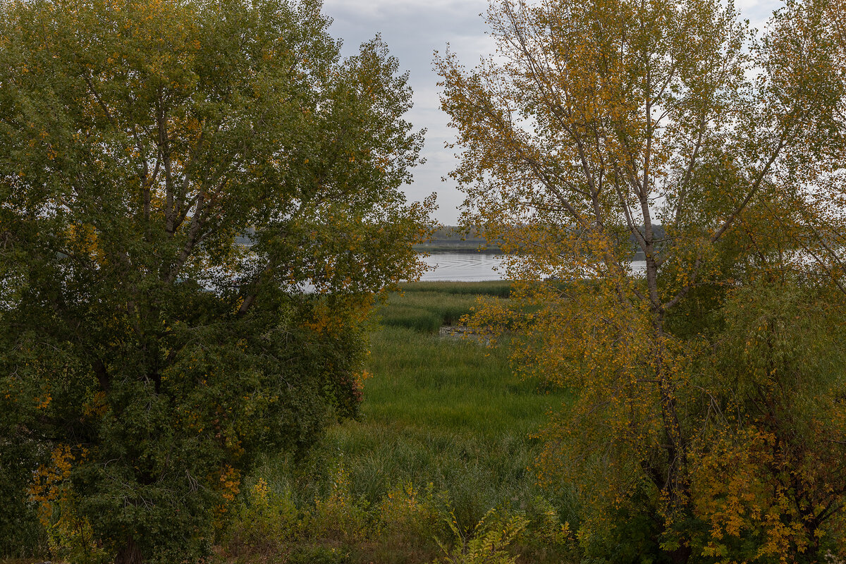 на прогулке - Татьяна Гузева