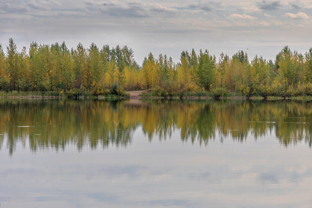 Осень - Татьяна Гузева
