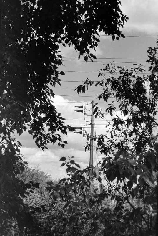 Фото на фотоплёнку с оранжевым фильтром - Олег Зоркий