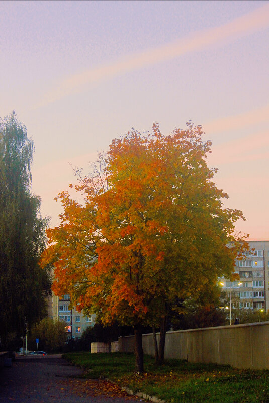 Осенний вечер - Сергей Кочнев