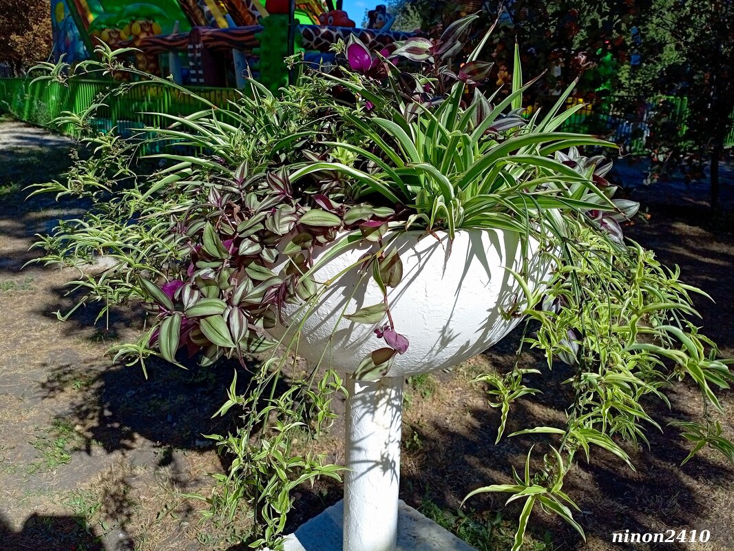 Осень в парке Октября - Нина Бутко