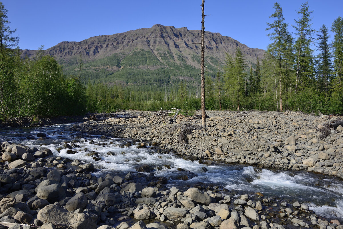 *** - Александр Хаецкий