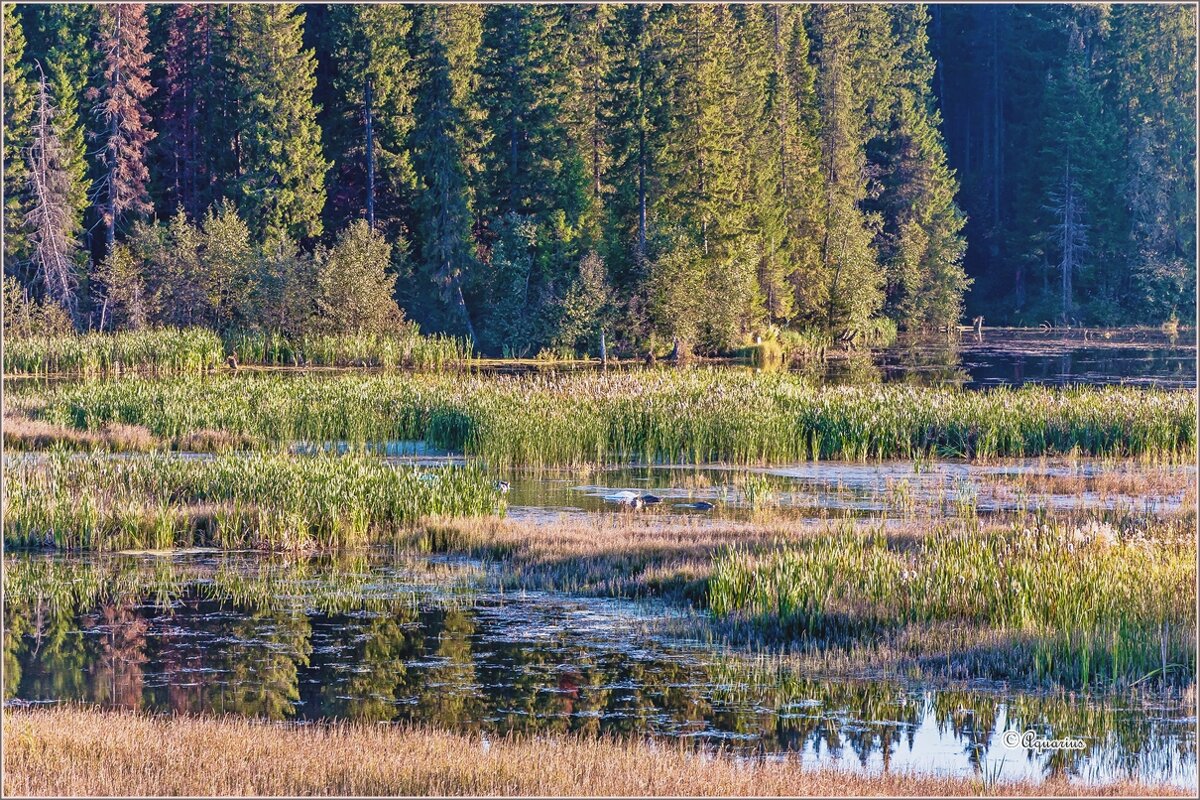 Про сентябрь - Aquarius - Сергей