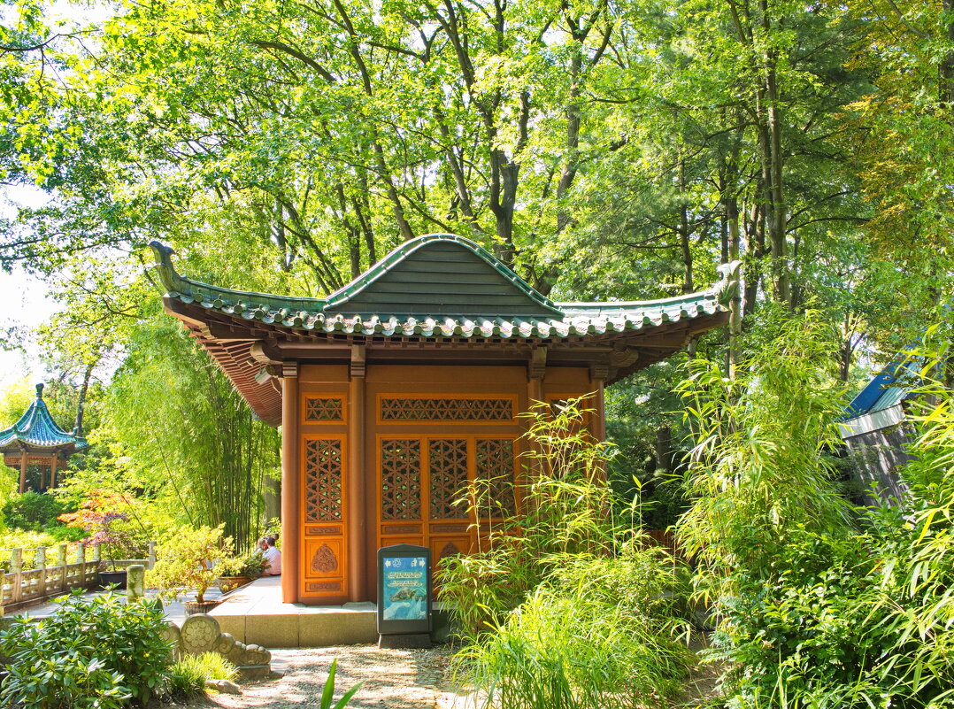 *** - Witalij Löwin