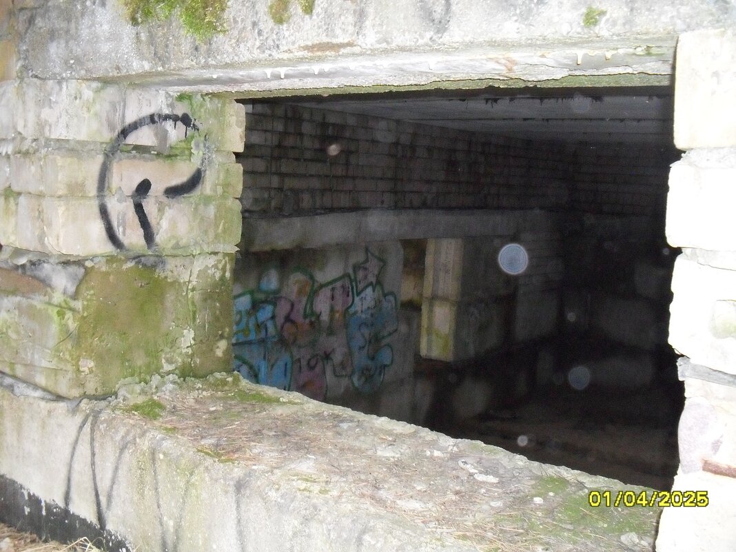 заброшка - fogmeadowww m