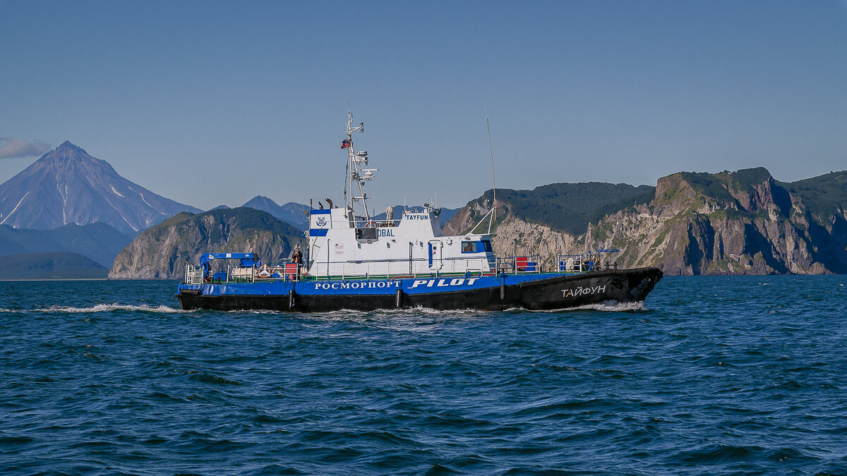 ... - Жора Житников