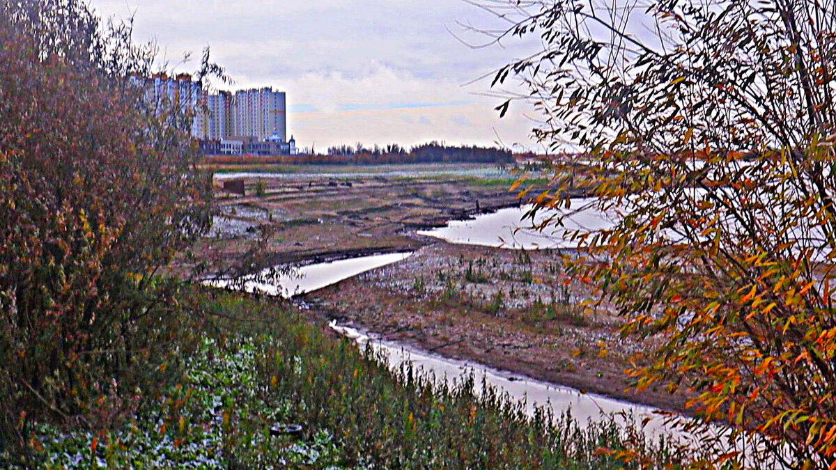 Октябрь...Река Юганская Обь обмелела! - Владимир 