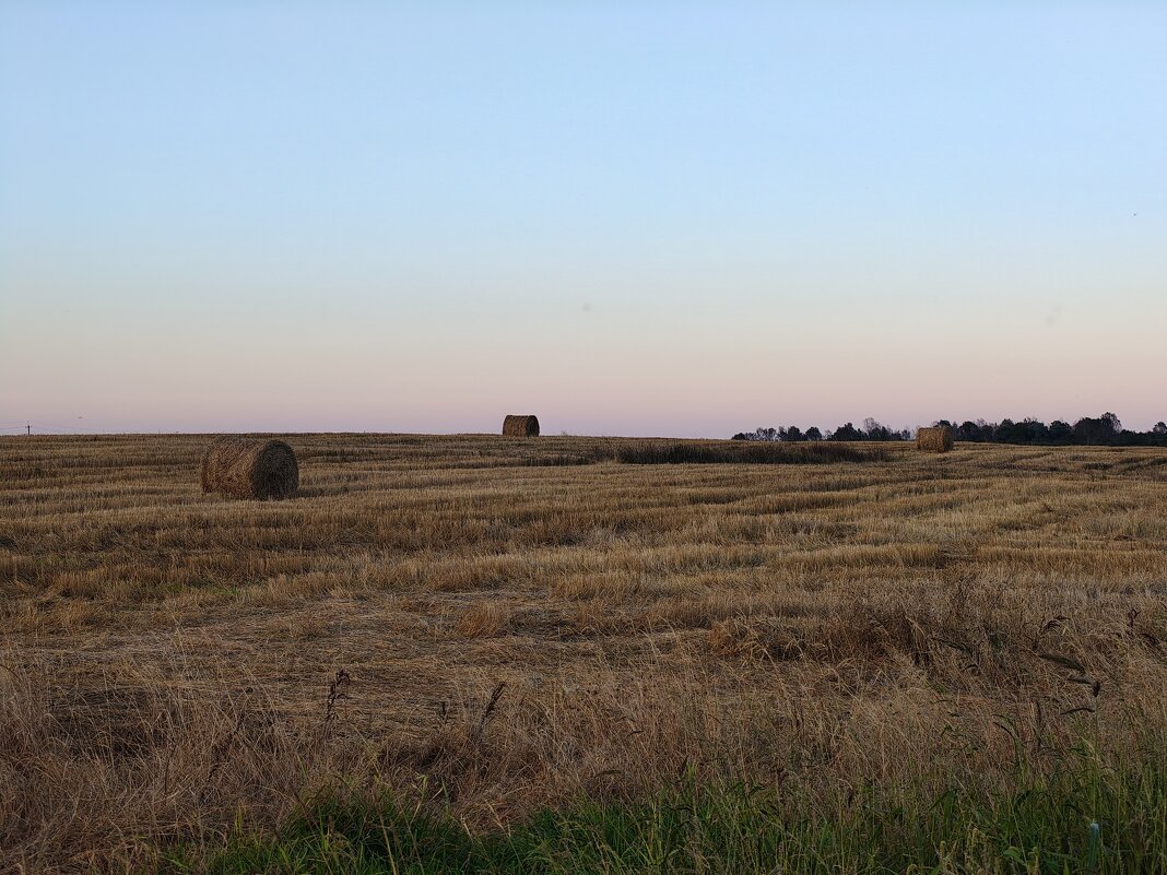 Поле у д.Выскодь - Артем 