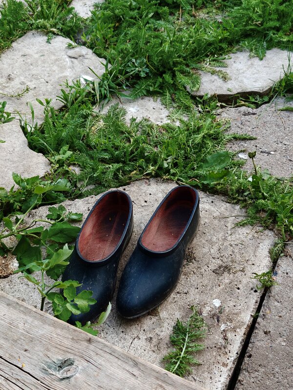 Калоши у крыльца - Надежда 